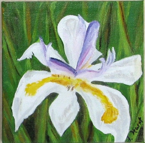 Original Painting White Iris Acrylic on Canvas 5 x 5