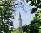 Fine Art Photography Digital image DOWNLOAD - Church Bell Tower in a Frame of Trees - Background Photo web design scrapbooking print canvas