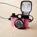 Lomo Pink diana camera