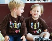 Sibling Big Brother LIttle Brother Shirt Set - Perfect for Family Pics or Pregnancy Announcement- Choose Shirt Color and Sleeve Length
