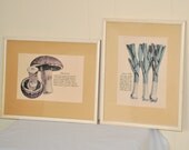 Vintage Food Veggie Vegetable Prints Framed Kitchen Art Set Leeks & Mushrooms Collection
