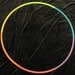 The Orignal Roy G Biv Hula Hoop