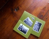 New England Nature - set of notecards