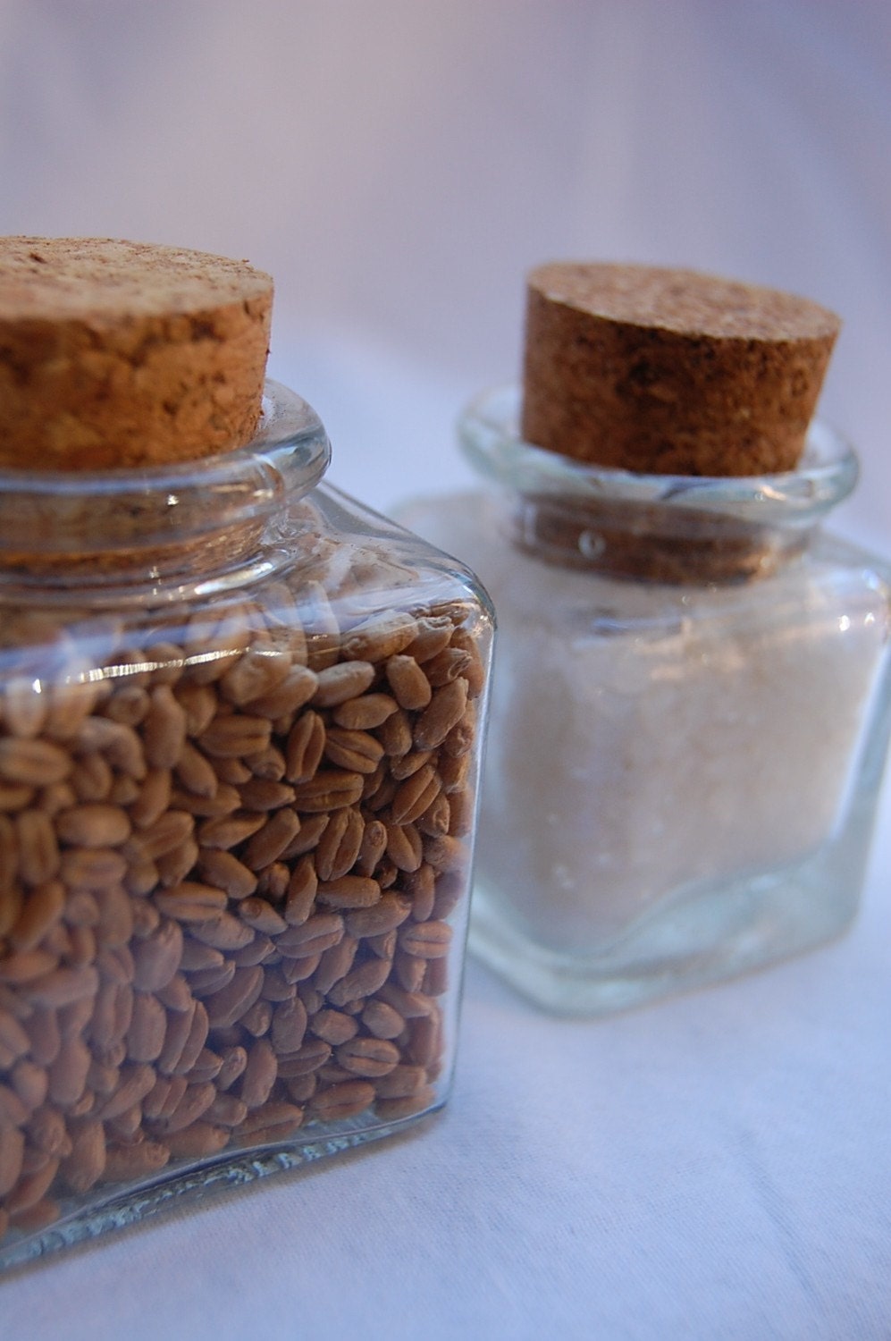 Wheat Grass and Watergems to GROW in your own container.