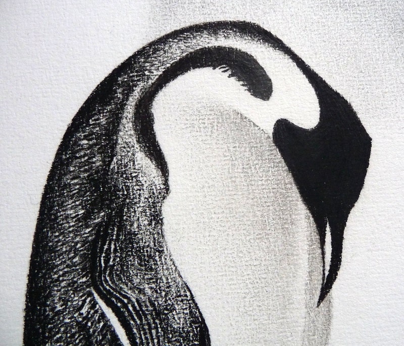Penguin original charcoal drawing