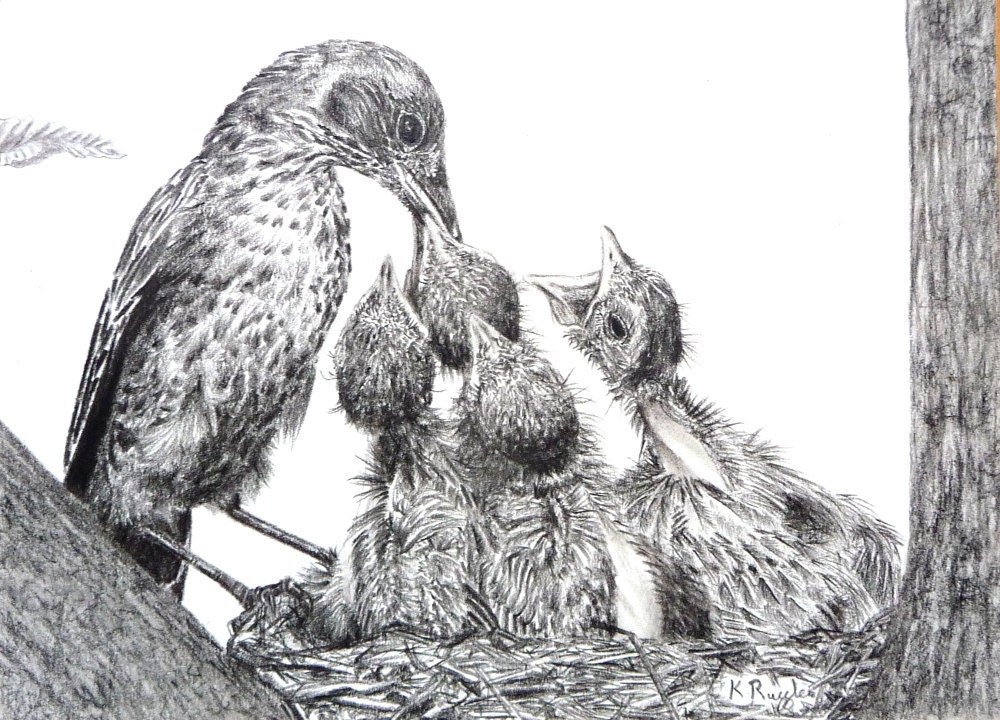 Blackbirds original charcoal drawing