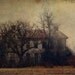 Halloween decor rustic farm photography "Hometown Appetite" fine art photo unisex countryside farmhouse spooky eerie landscape photo