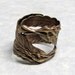 Raven Claw and Feather Ring