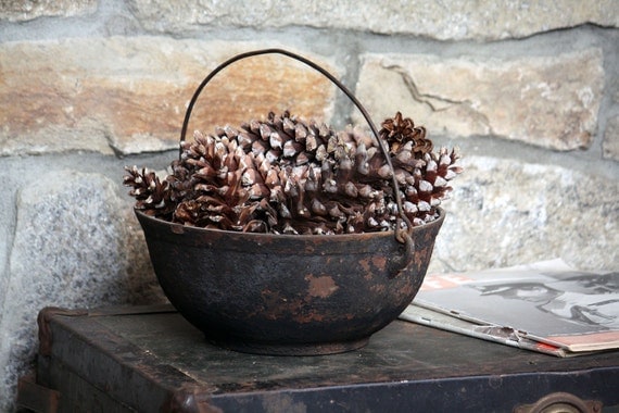 Real Pinecones - 20 Medium Natural Gathered CT Pinecones - Nature, Home Decor, Holiday, Fall Harvest, Autumn, Rustic, Centerpiece elitett