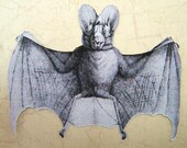Smiling Bat Cutouts