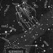 Gemini Night Sky Star Chart Map - 1948 Zodiac Constellation Stars from Astronomy textbook