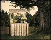 LEMONADE - Eco friendly garland, recycled, baby shower decoration Il_170x135