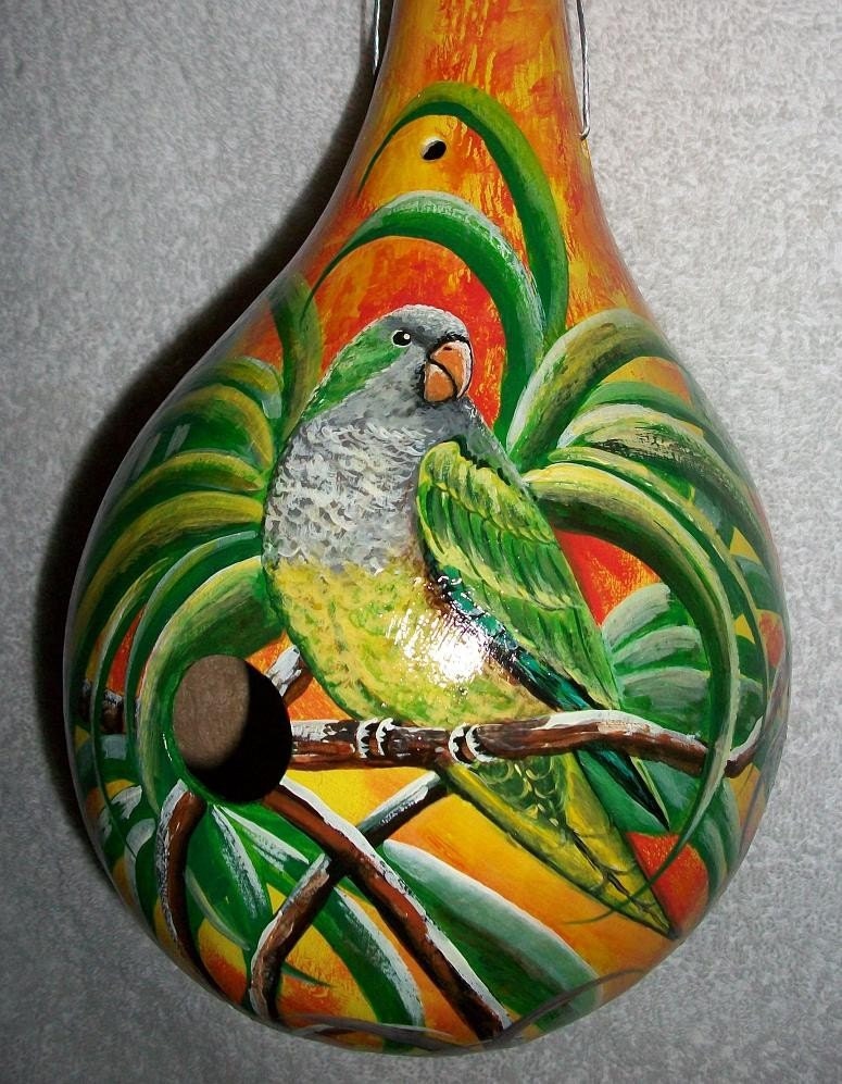 Monk Parakeet Painted Gourd Birdhouse