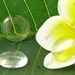 100 pcs 16mm Round Clear Glass Cabochons, no textile, transparent, jewelry Cabochons finding beads