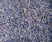 Dried Lavender Buds 1/2 lb. Fragrant Natural Great for Shower gift, Sachets, Pillows, Wedding Toss, Favors.....