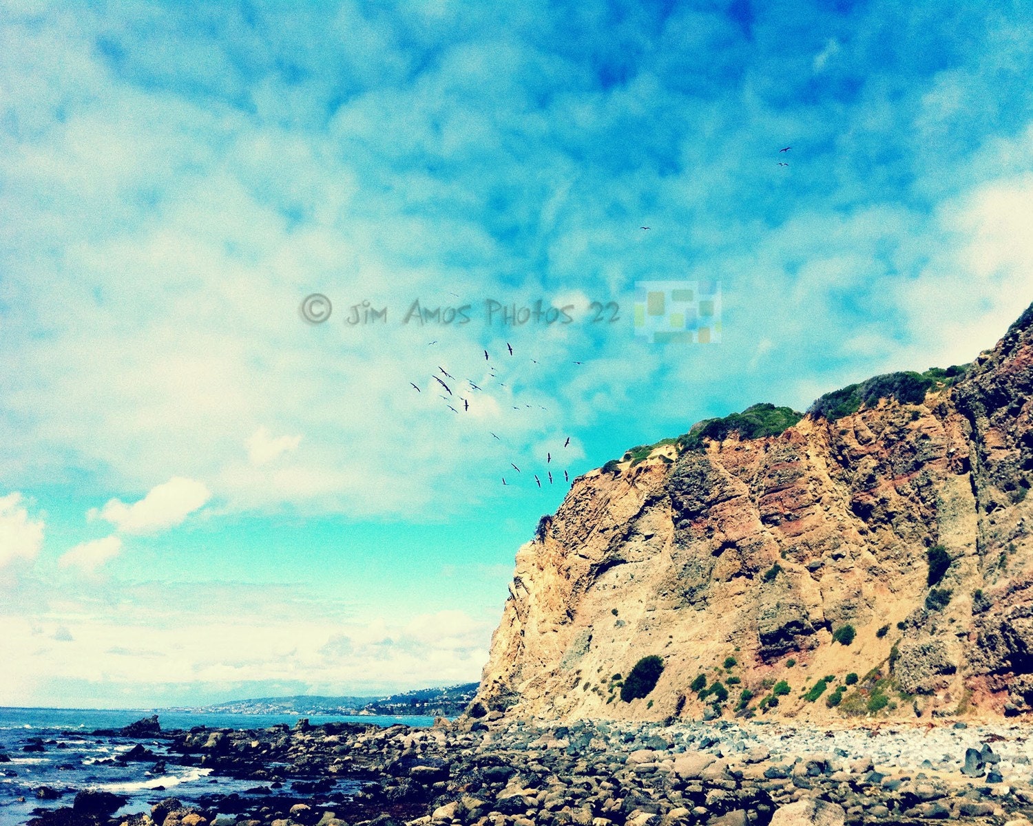 Birds Flying by a Seaside Cliff - 8X10 Ocean Scenic Fine Art Photo