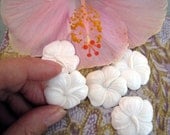 Hibiscus Carved Bone Tropical Flower Cabochon