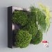 PDF Tutorial - GreenWall Vertical Garden Planter by Ginkgo Studio
