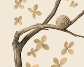 woodland forest art, rustic, snail, spiral  - Woodland Chorus 8 x 10