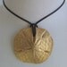 Sand dollars gold necklace on leather strand, choker necklace
