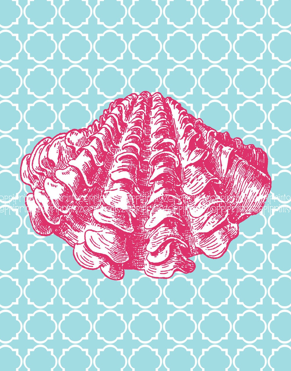 Set 3 Beach Cottage Nursery Girl Seashell Ocean Hot Pink  Turquoise prints choose your color each 11x14 each