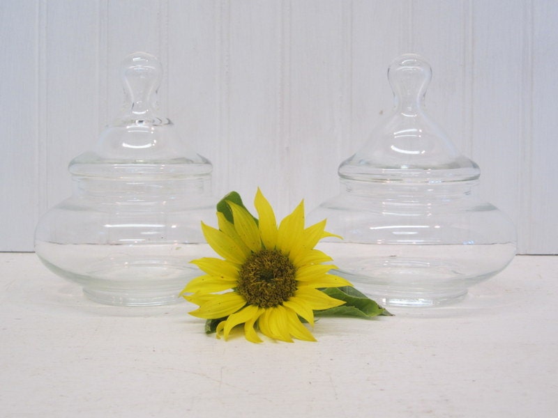 Pair of Short Round Clear Glass Apothecary Jars Terrarium