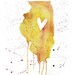 5x7 - Illinois Love