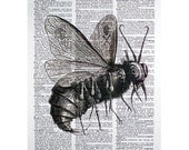 Lord of Flies Print on a Vintage Dictionary Page