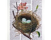 Robin's Egg Bird Nest Print on a Vintage Dictionary Page