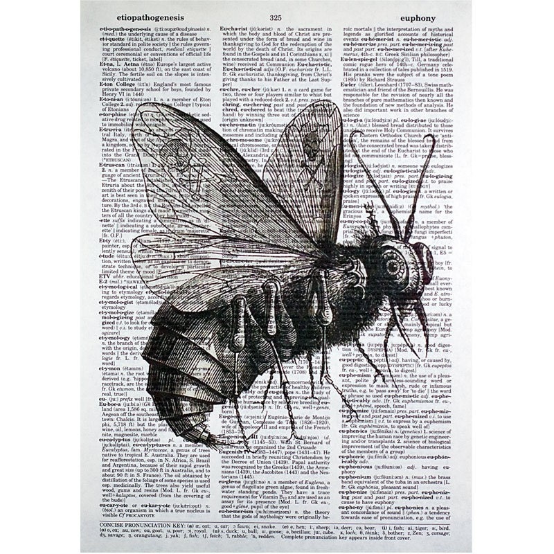 Lord of Flies Print on a Vintage Dictionary Page