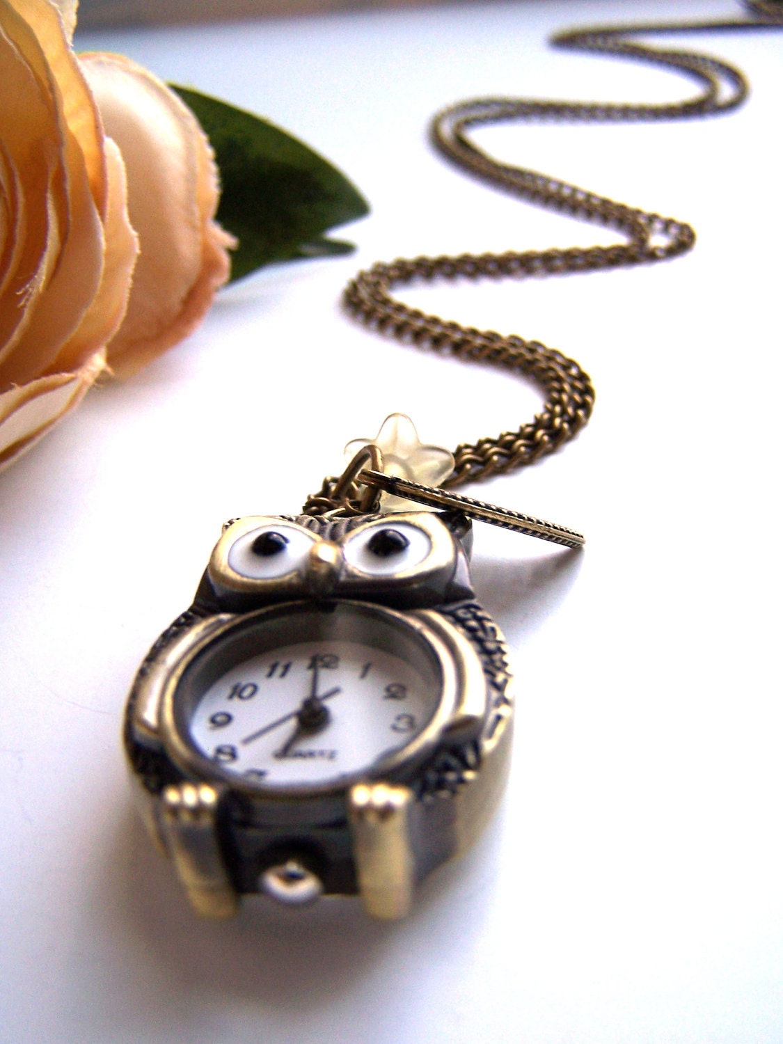 the mister owl pocket watch (necklace).