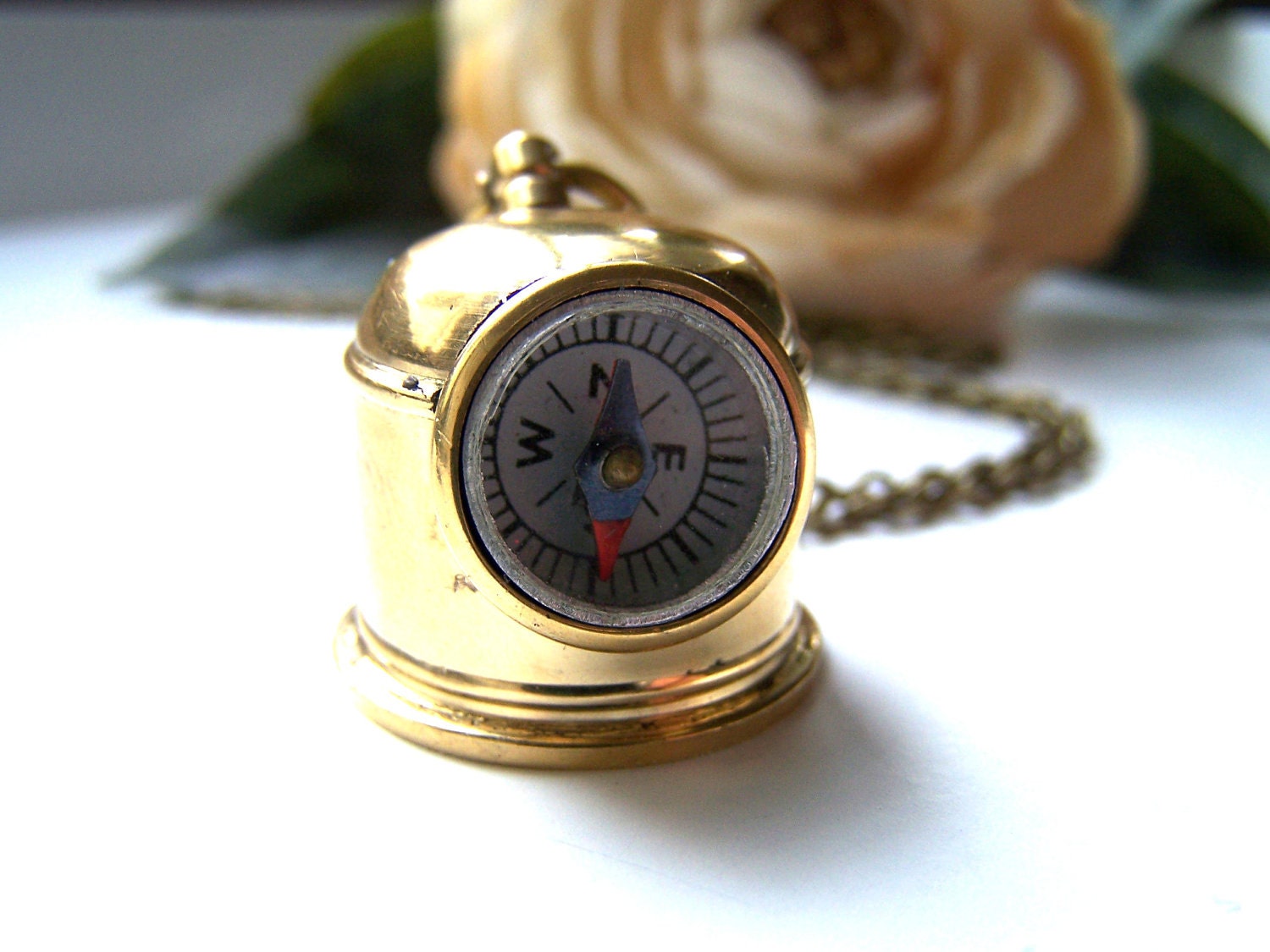 the diver's helmet compass necklace.
