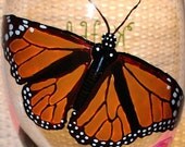 BUTTERFLY Painted Wine Glass, Monarch, Flowers - Hand-painted & Personalized