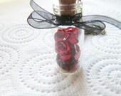 Red Roses and Hearts Glass Vial Necklace, Bottle Necklace
