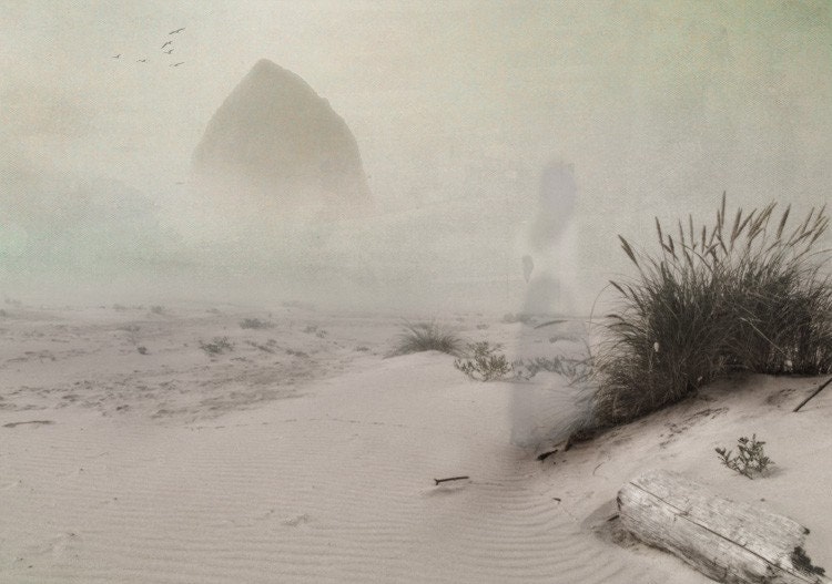 The Remains of Time -  8 x 10 Landscape Foggy Beach Seascape - Limited Edition Print by My Antarctica