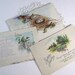 Antique Birthday Postcard Set of 3 Bird Nest Countryside and Apple Blossoms