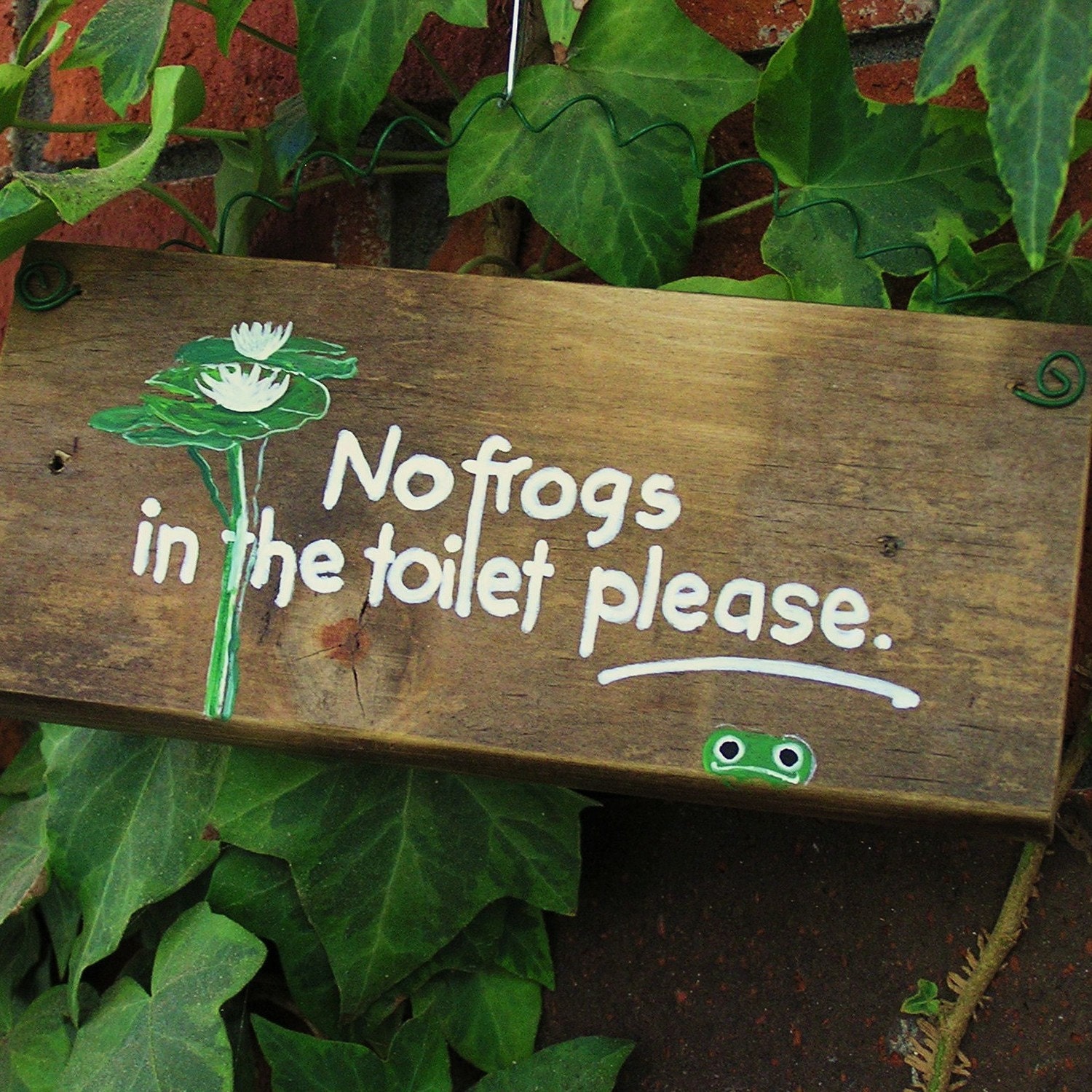 No Frogs