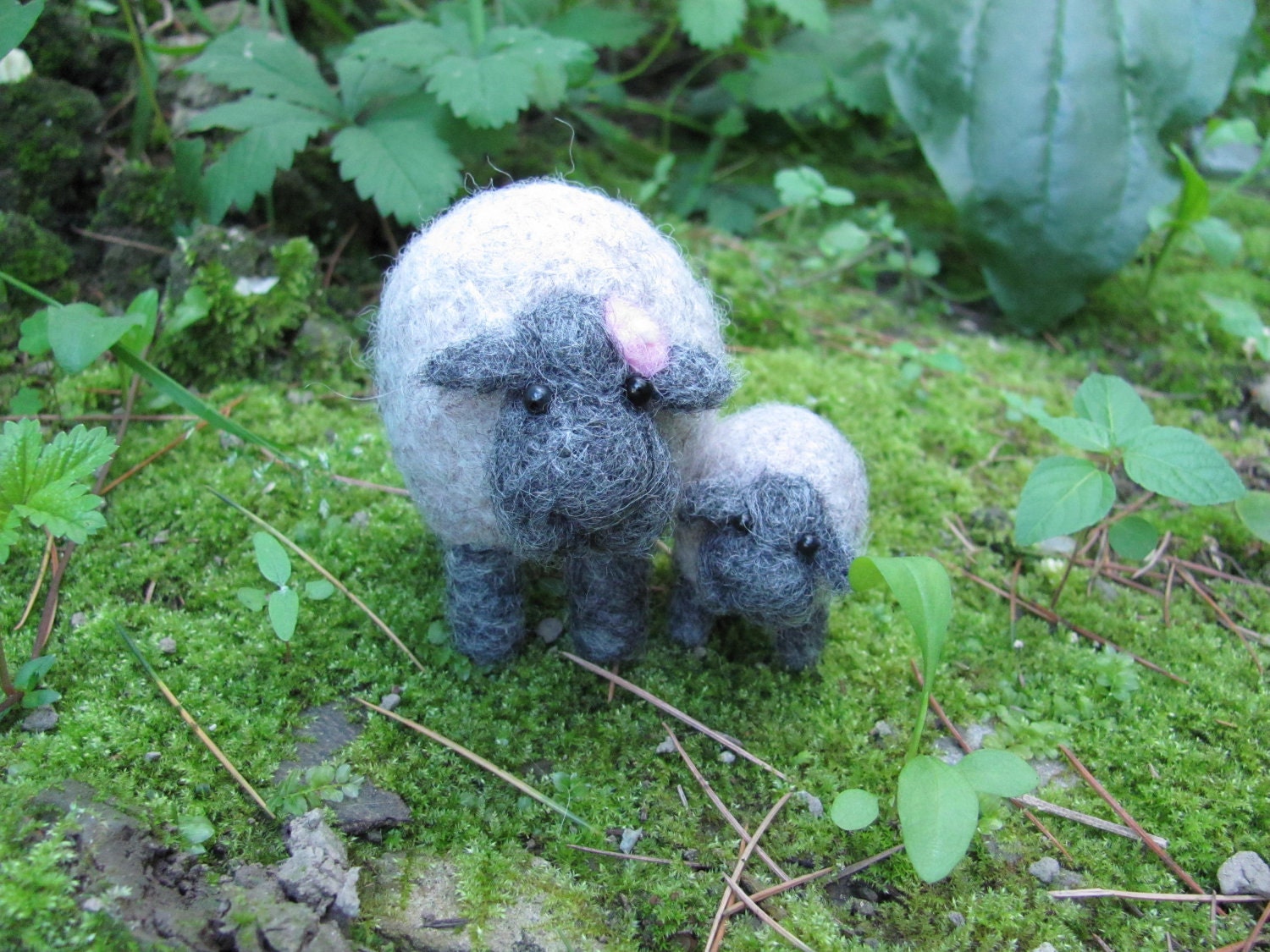 Mama and baby sheep