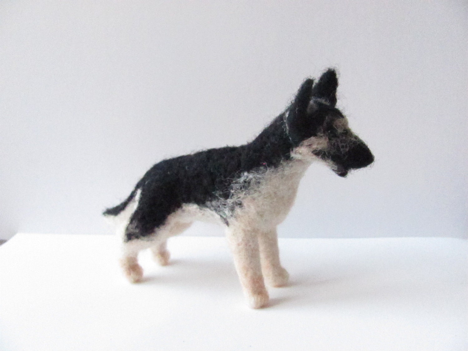 East European Shepherd dog