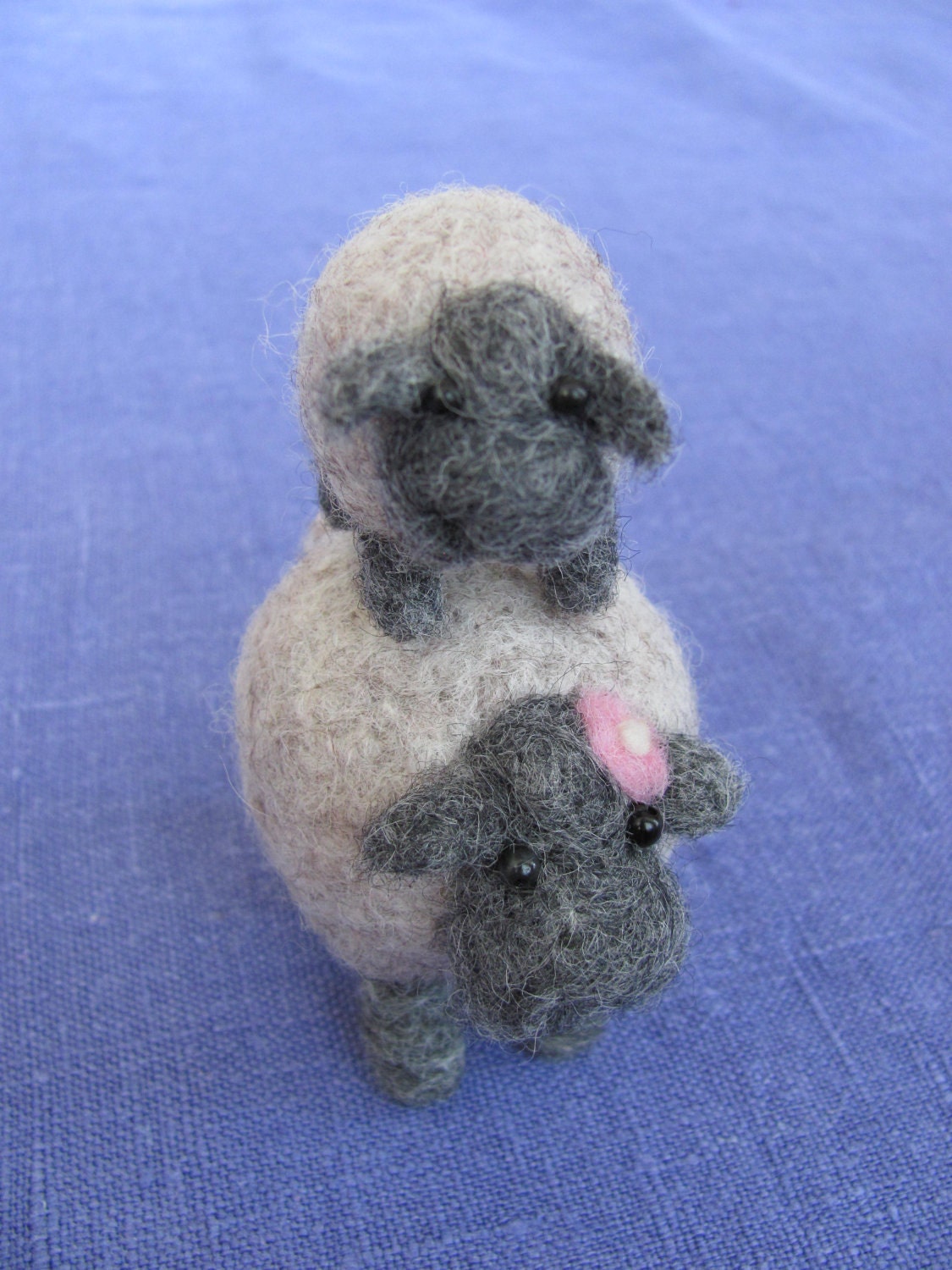 Mama and baby sheep
