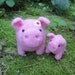 Mama and baby pig