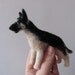 East European Shepherd dog