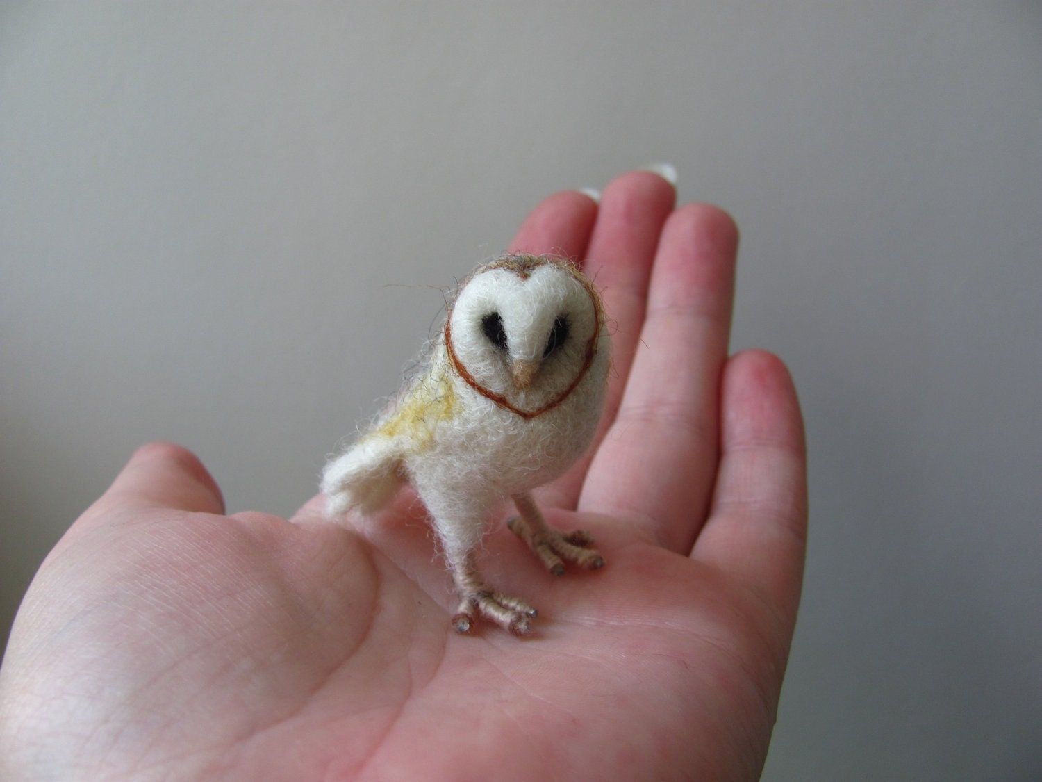 Barn owl
