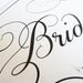 Wedding Chair Signs - Bride and Groom - Wedding Reception Decoration