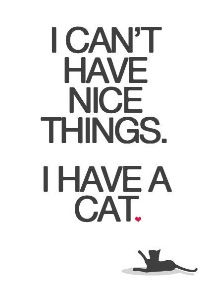 I Can't Have Nice Things, I Have A Cat Poster Print A3 / 11x14