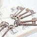 Vintage French Skeleton Keys Big Medium Lot of 9 Antique Steampunk Country Home Decor Shabby Chic