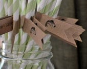 Green and White Stripe Straws with Kraft Flag