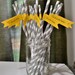 Drinking Straws for Baby Shower