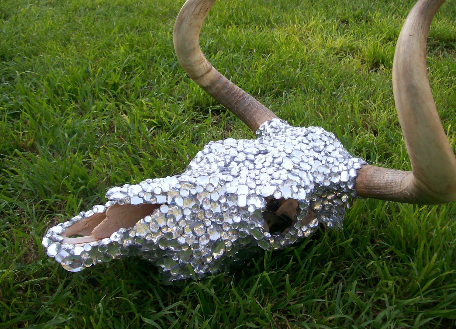 Rhinestone Cow Skull