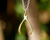 Wish Necklace-Charity Wishbone